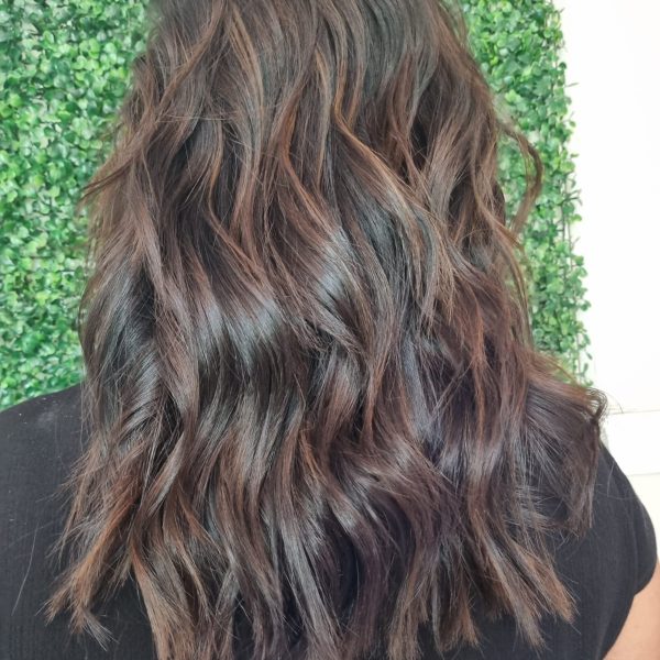 Chocolate Brown Highlights